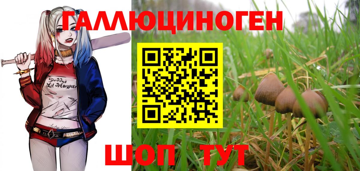 Псилоцибиновые грибы мухоморы  Псилоцибиновые грибы Psilocybe  Нефтекумск  Вход с VPN 